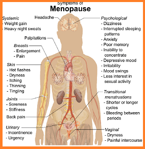signs! symptoms! menopause!